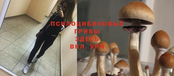 скорость Алексин